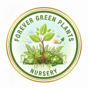 ForeverGreenPlant